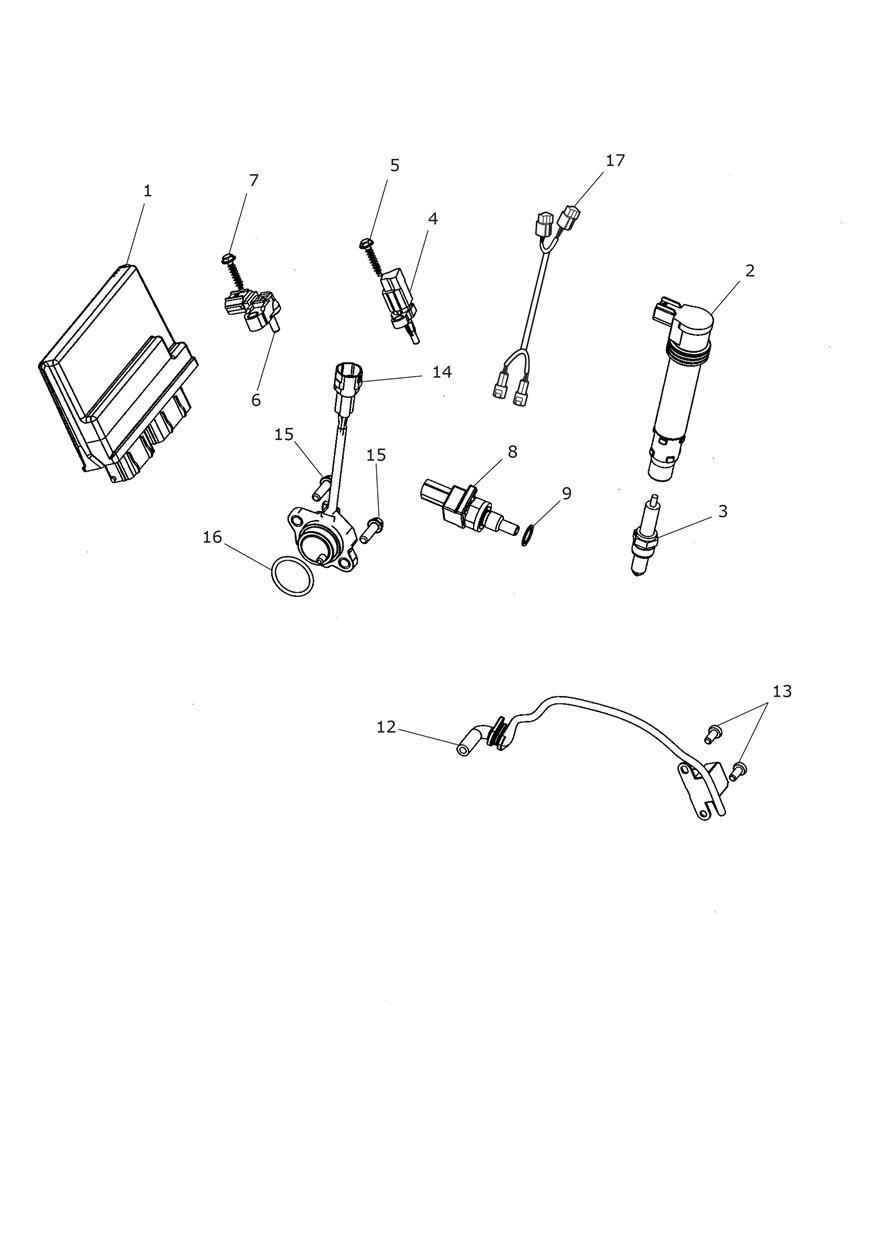 Engine Management System exploded diagram