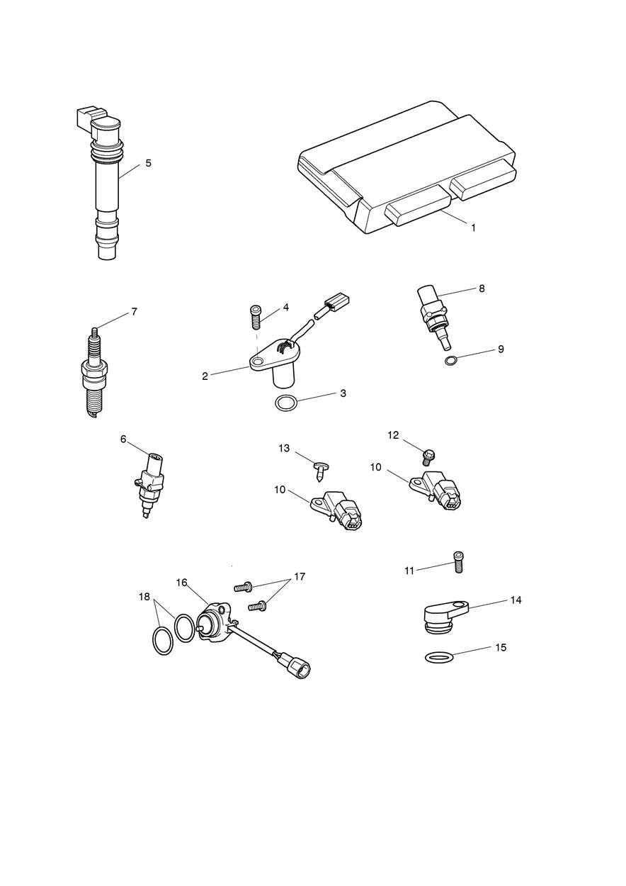 Engine Management System exploded diagram