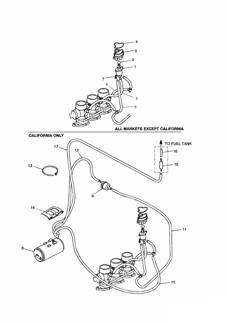 Evaporative Loss Equipment exploded diagram