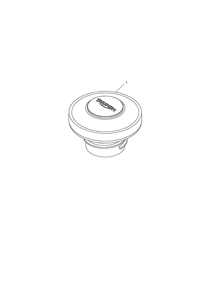 Filler Cap, Fuel, Locking exploded diagram