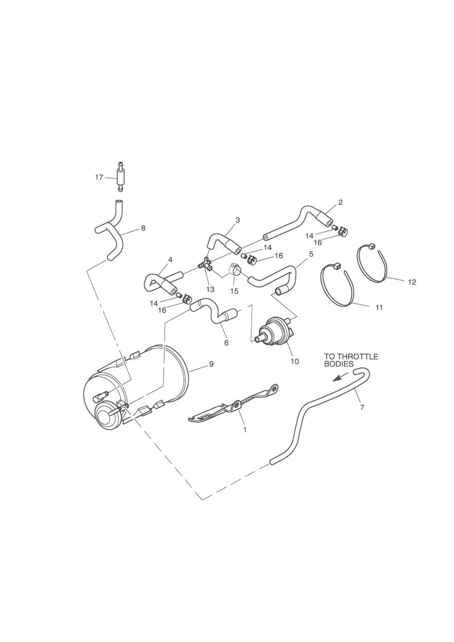 Evaporative Loss Control System - California Only exploded diagram