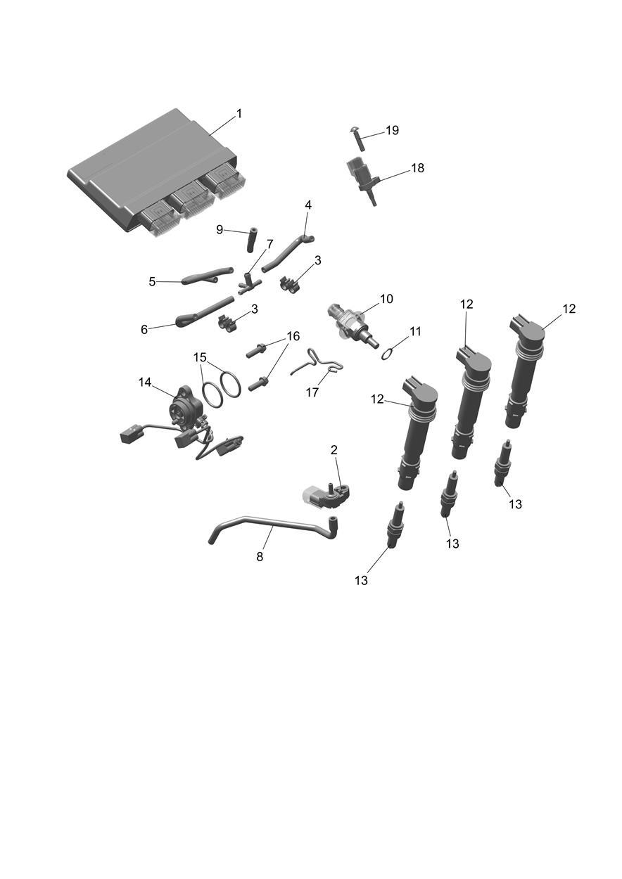 Engine Management exploded diagram