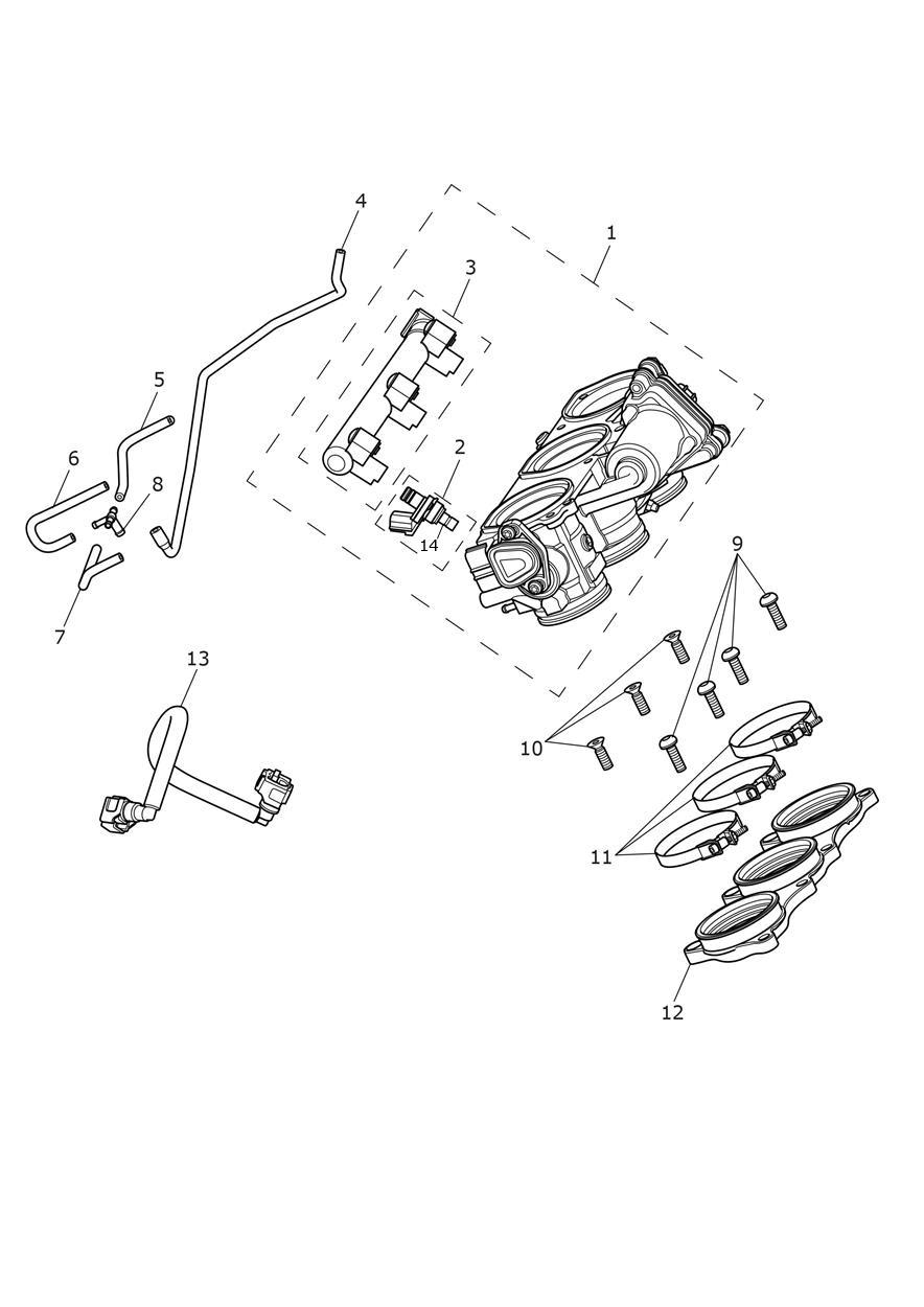 Throttles, Injectors and Fuel Rail exploded diagram