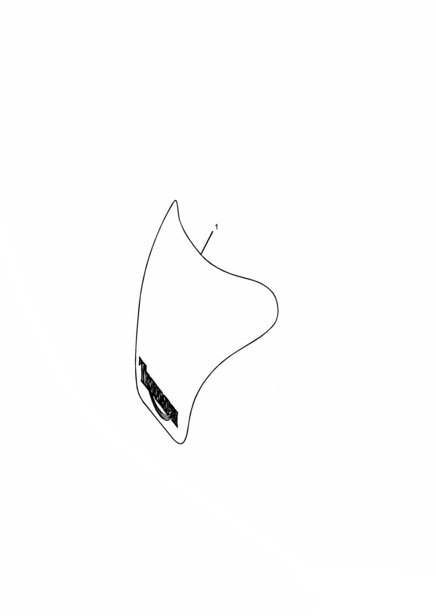 Carbon Fibre Tank Shield exploded diagram