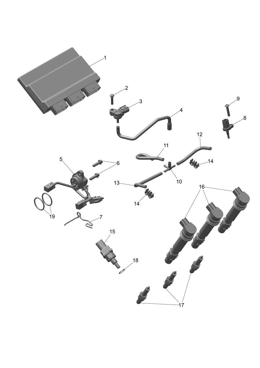 Engine Management exploded diagram