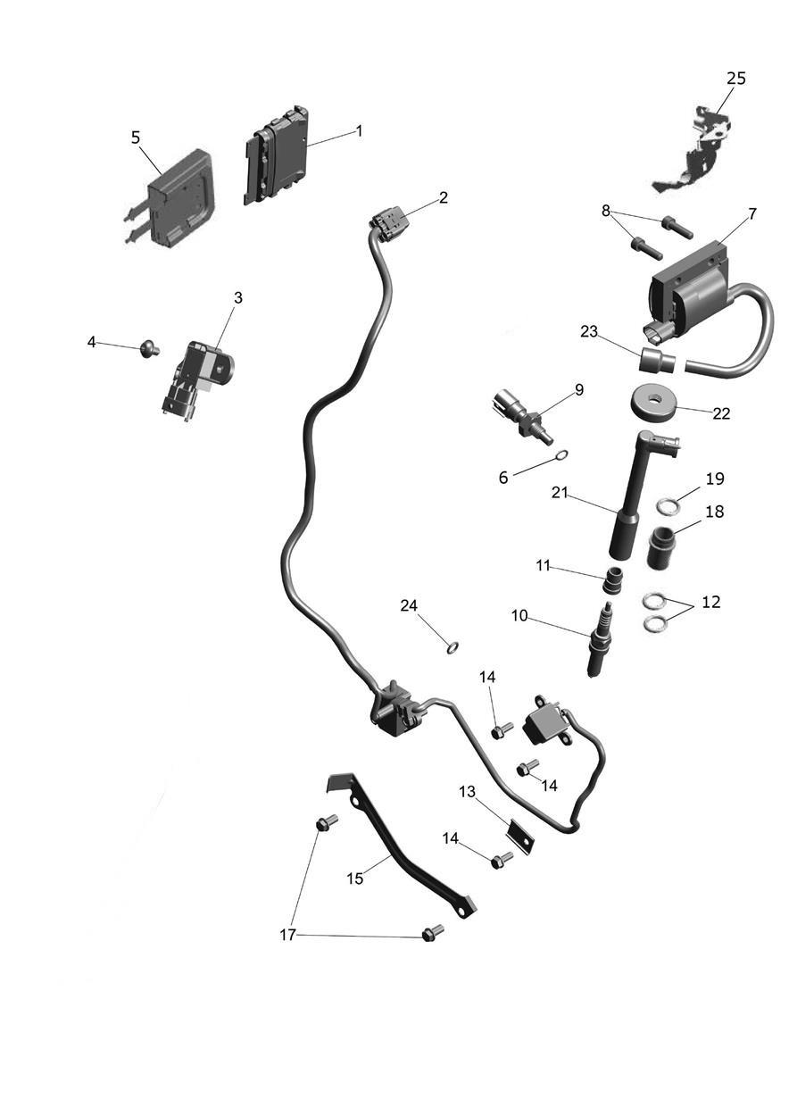 Engine Management exploded diagram