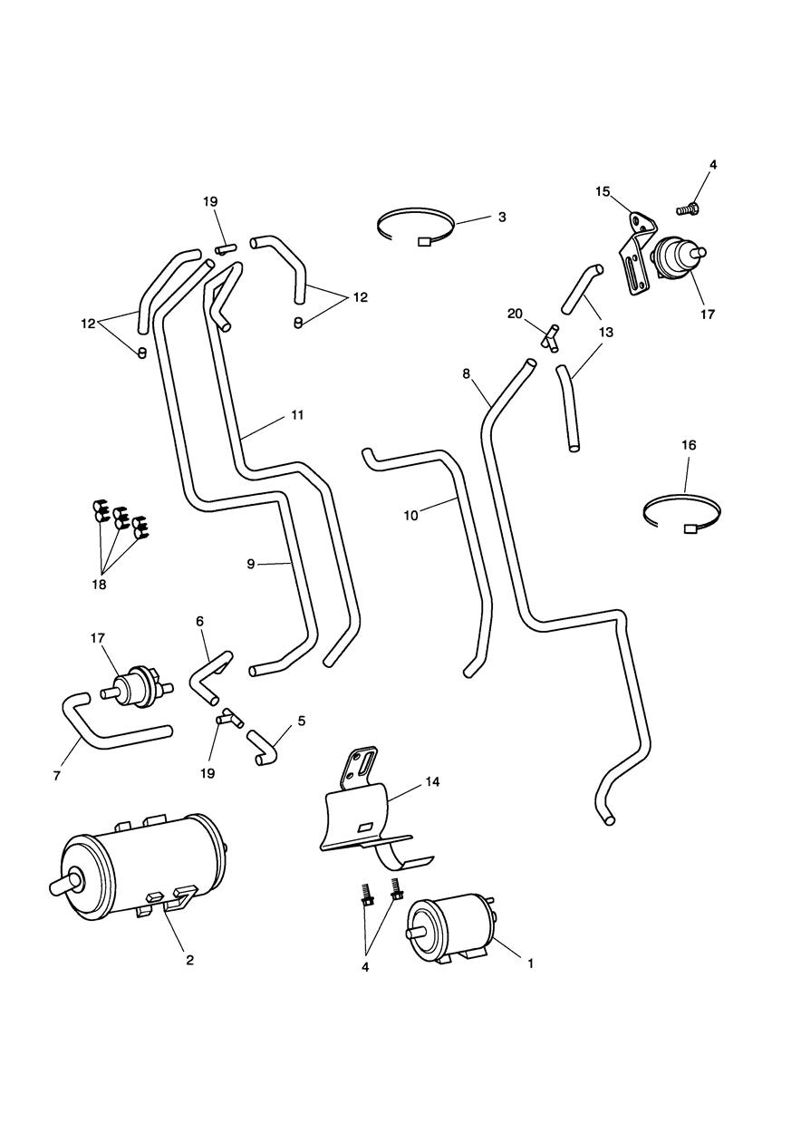 Evaporative Loss Control System - California Only exploded diagram