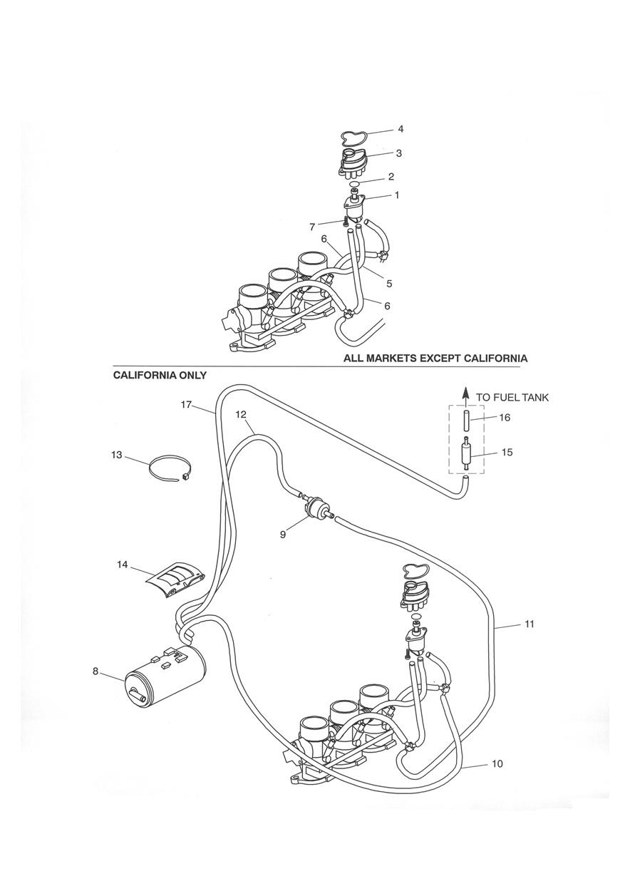 Evaporative System exploded diagram