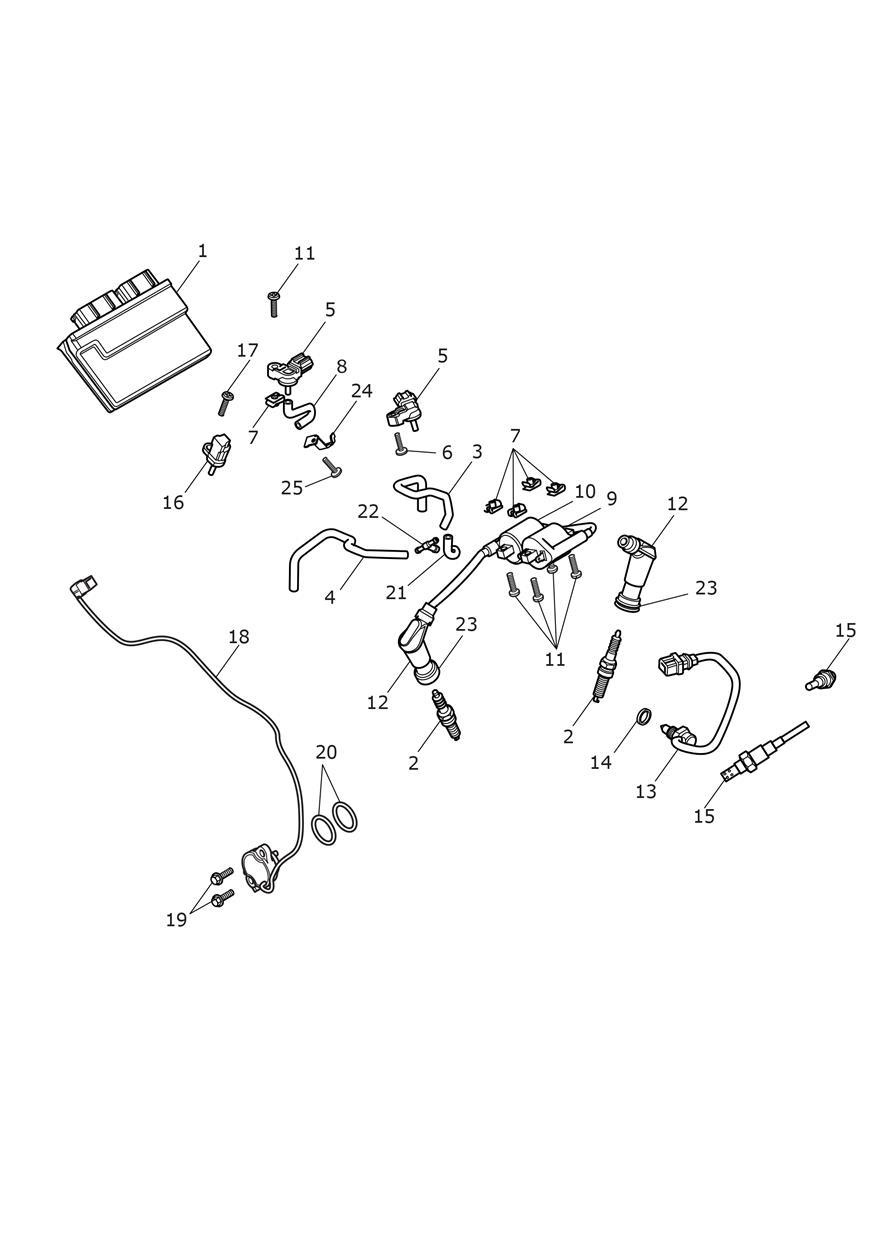 Engine Management System exploded diagram