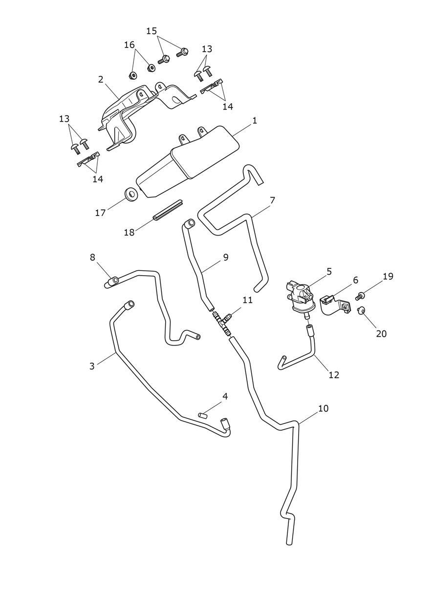 Evap System exploded diagram