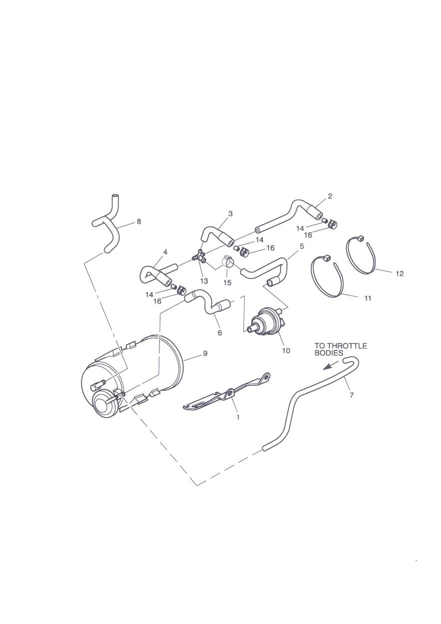Evaporative Loss Control System - California Only exploded diagram
