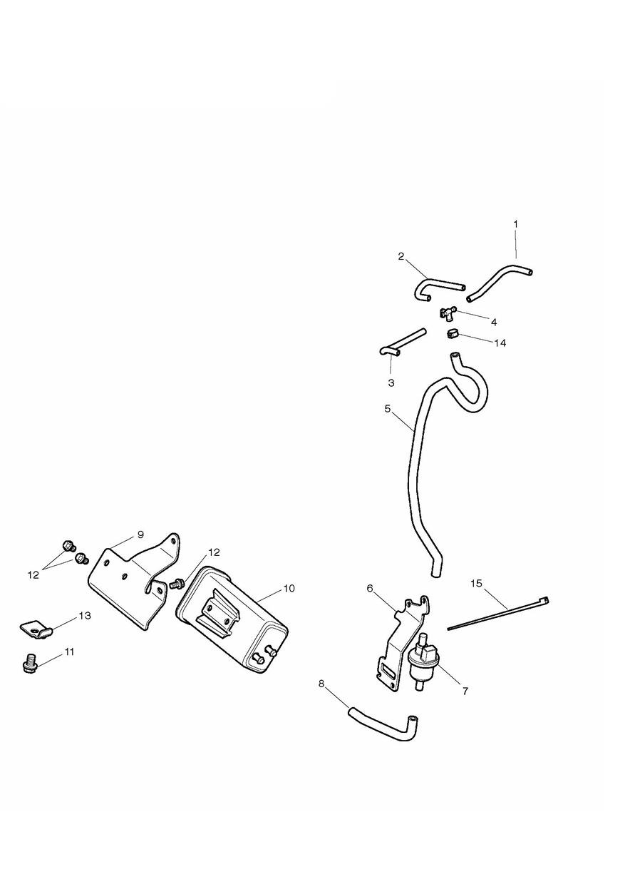 Evaporative Loss Control System - California Only exploded diagram
