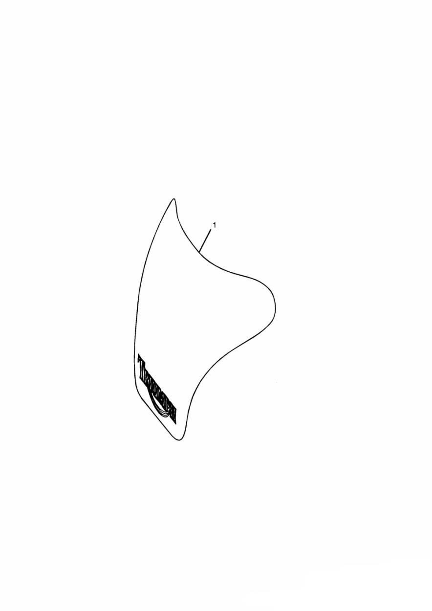 Tank Pad, Carbon Fibre exploded diagram