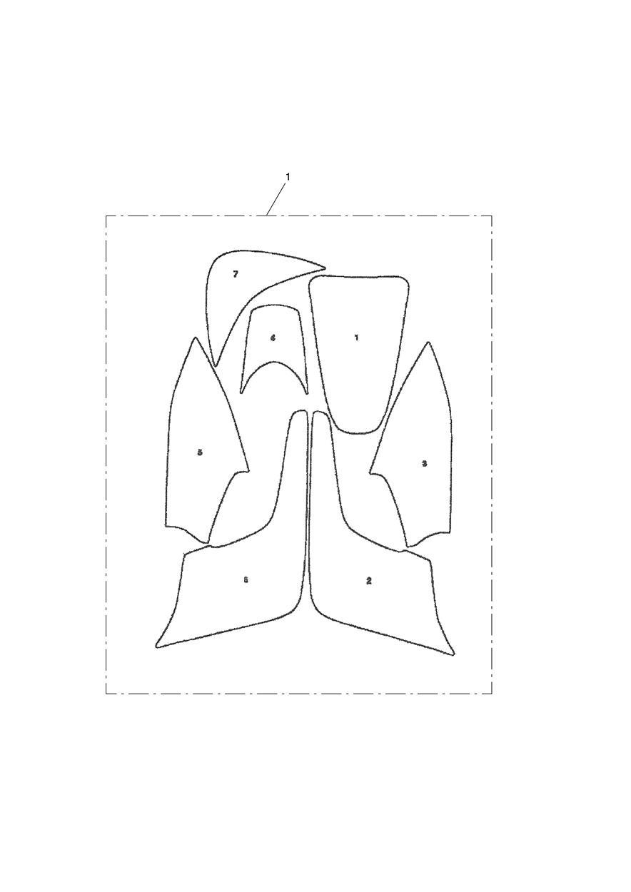 Paint Protection Kit, Type 16, Matt exploded diagram