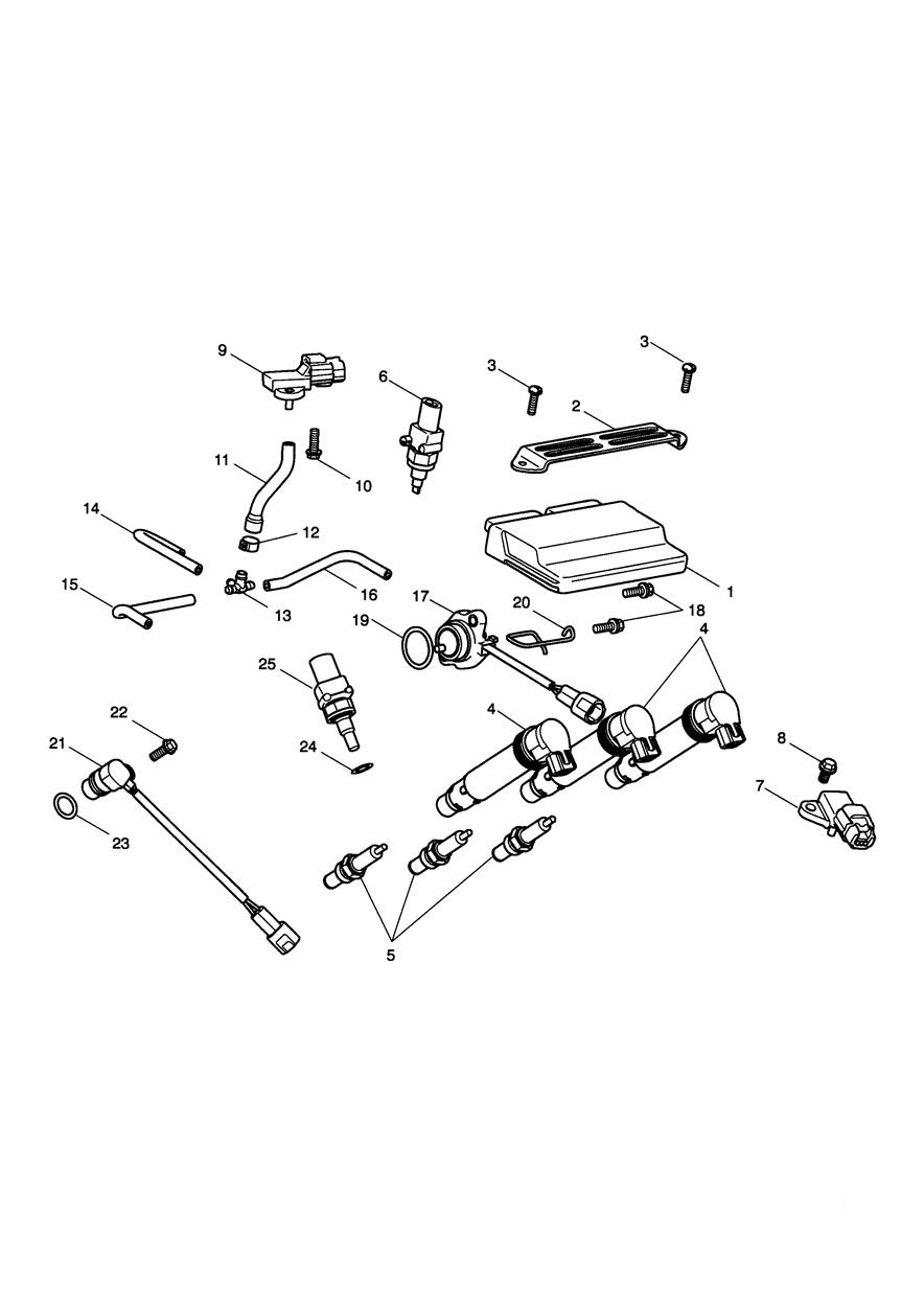 Engine Management System exploded diagram