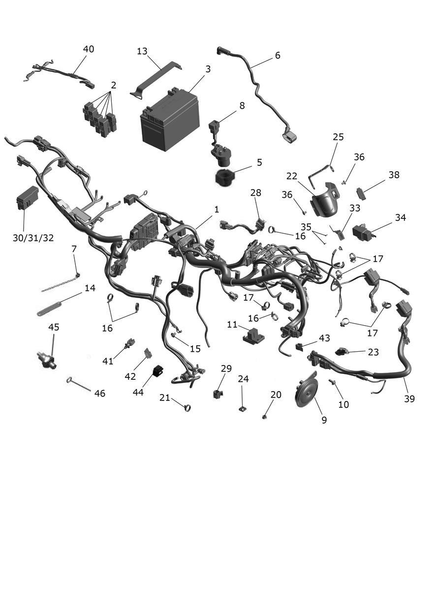 Harness exploded diagram