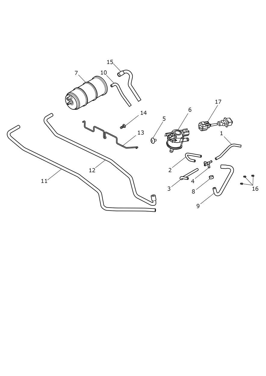Evaporative Loss Control System exploded diagram