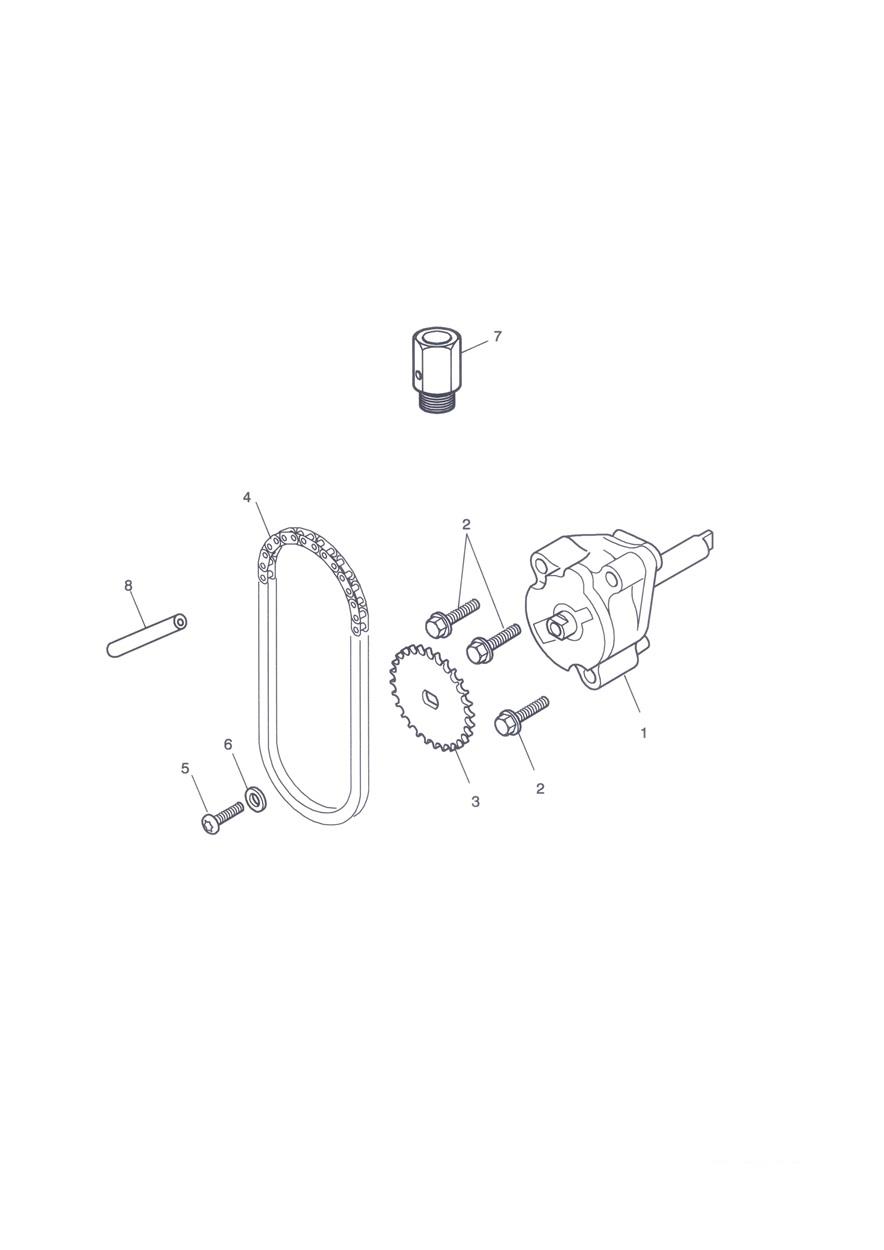 Oil Pump & Drive exploded diagram