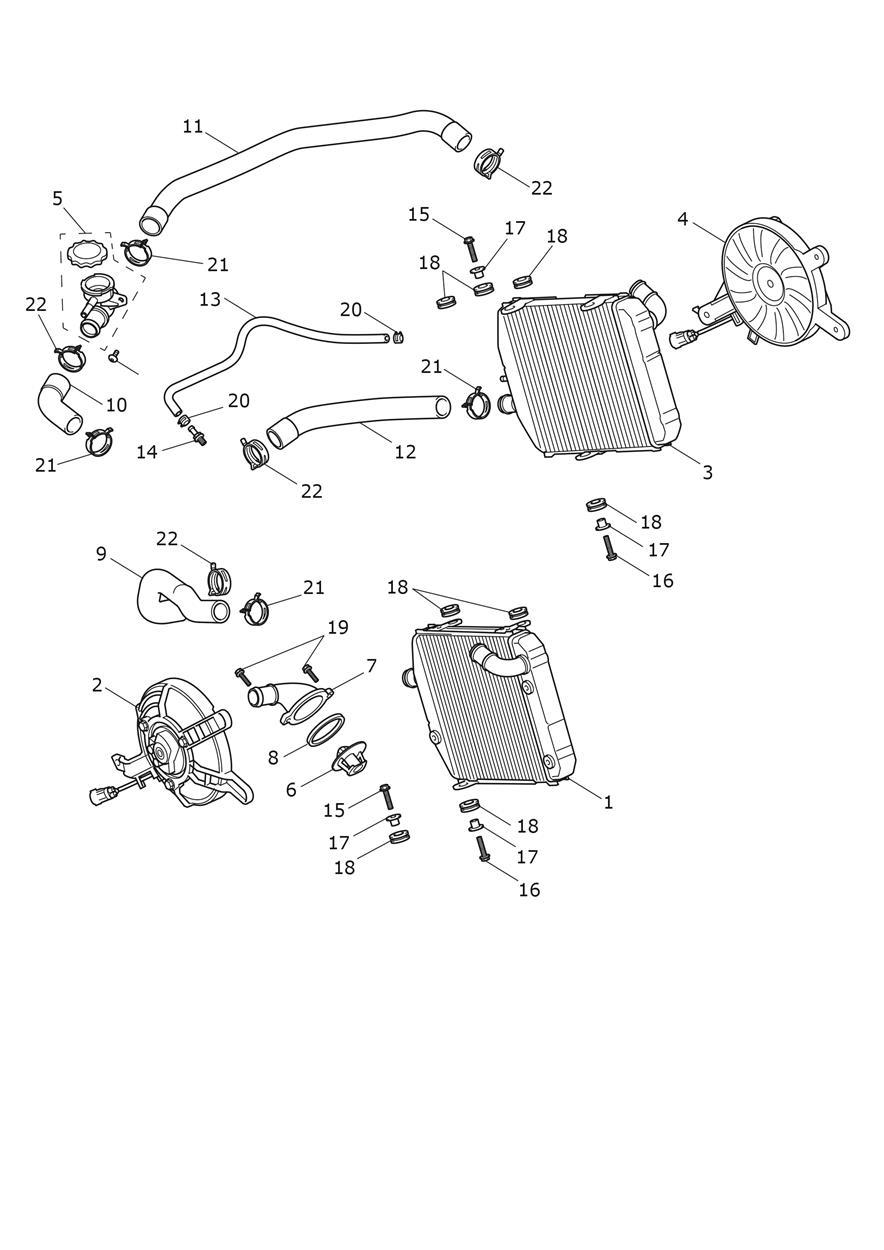 Cooling System - Radiator exploded diagram