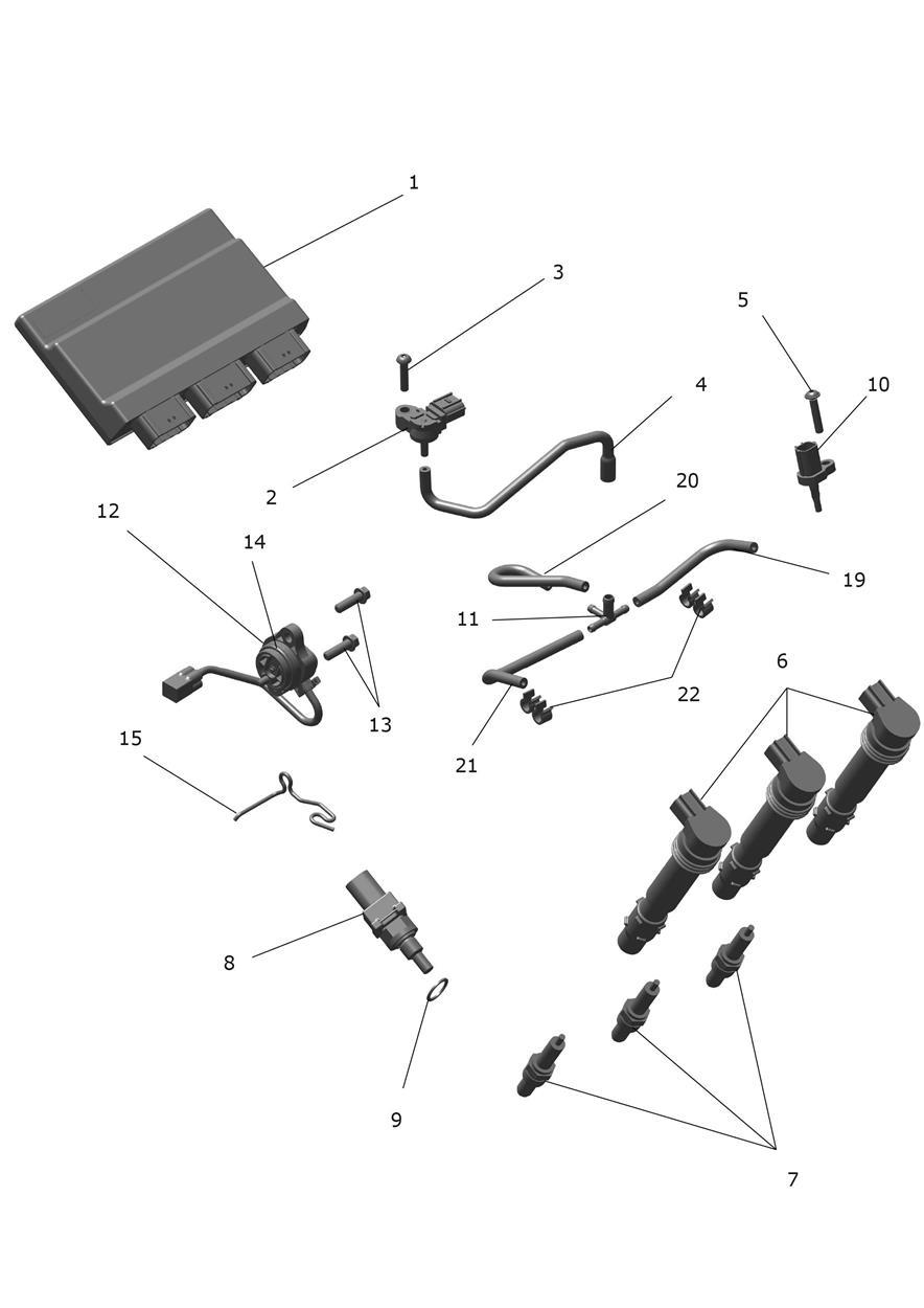 Engine Management exploded diagram