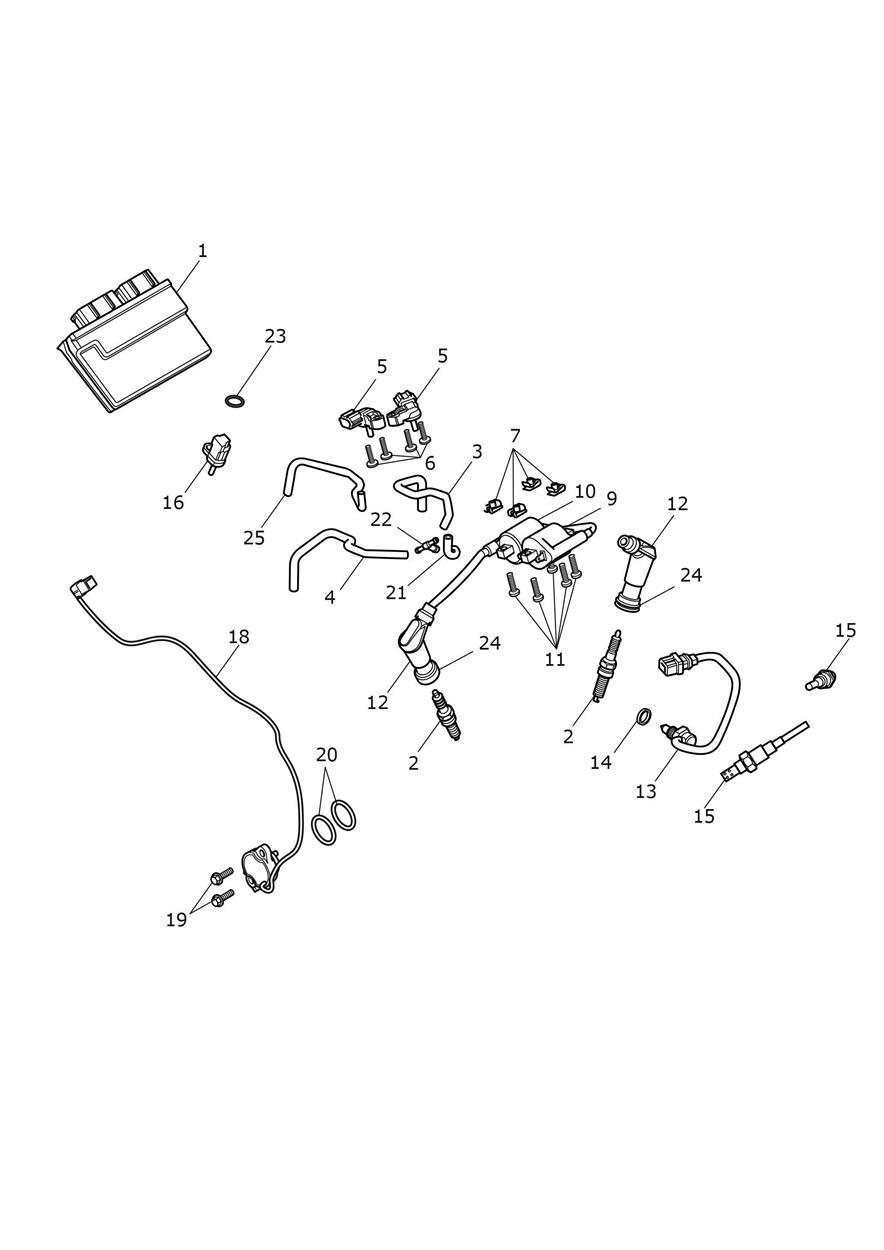 Engine Management System exploded diagram