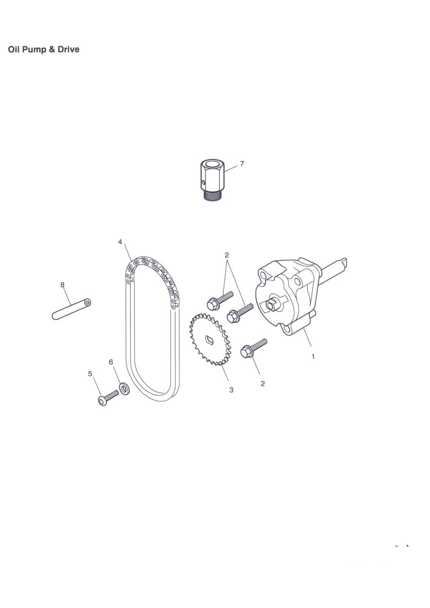 Oil Pump & Drive exploded diagram