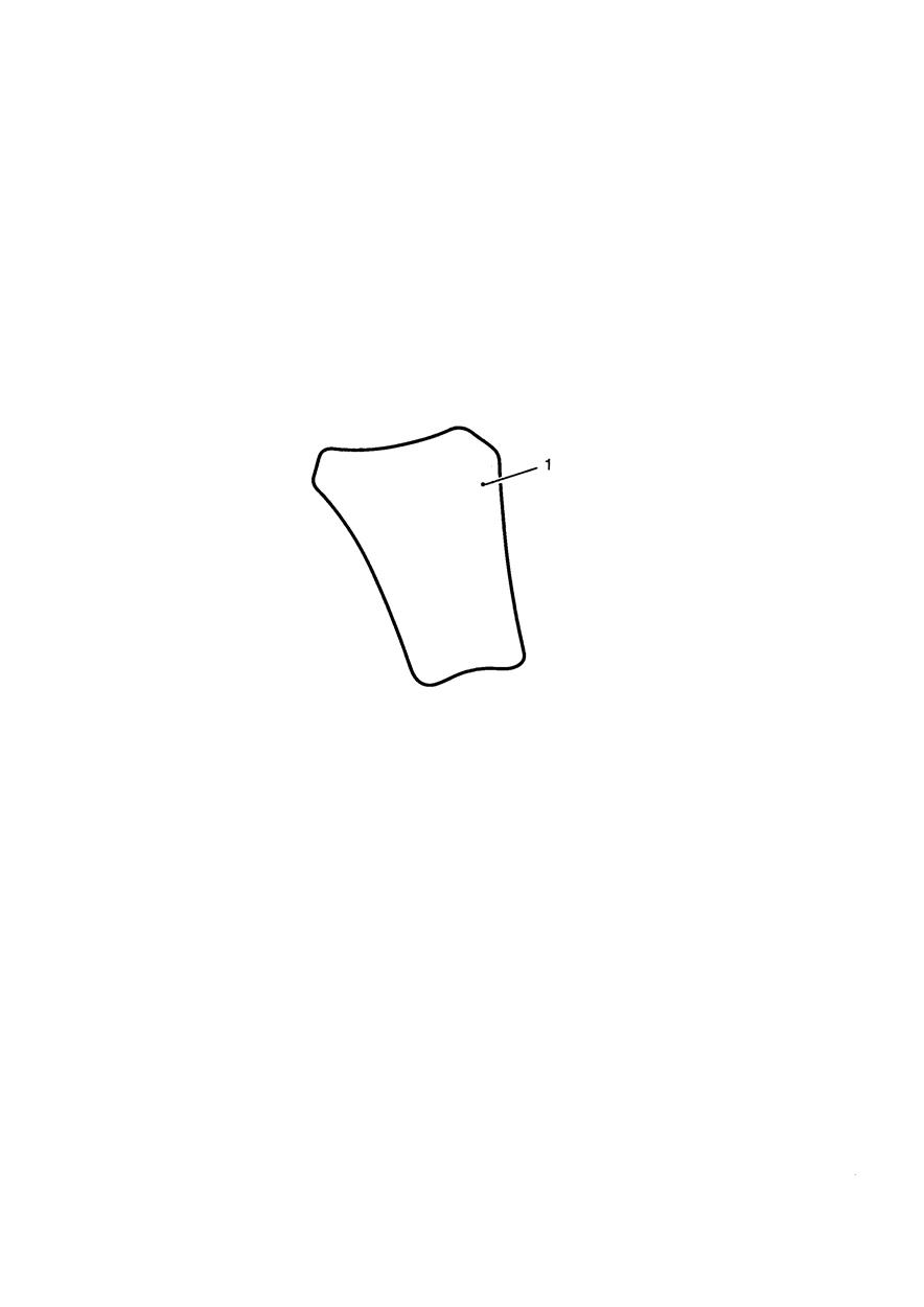 Tank Pad, Carbon exploded diagram
