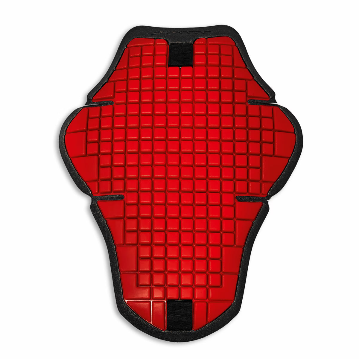 Back Protector Warrior 2