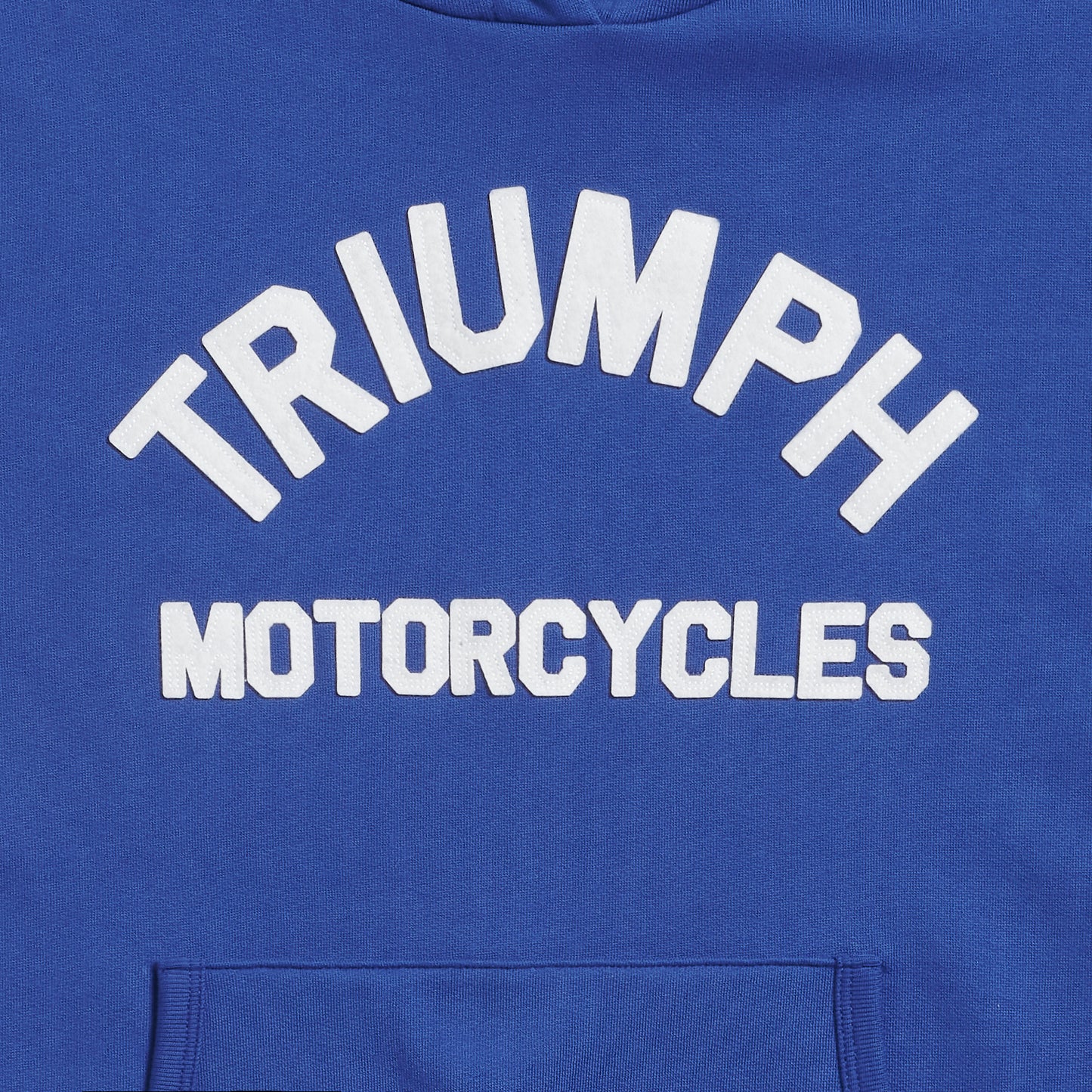 Triumph Carrick Pull-On Hoodie Blue / Bone